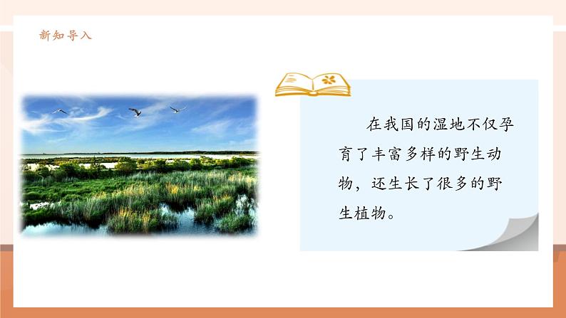 《三位数加三位数(连续进位)》课件第6页