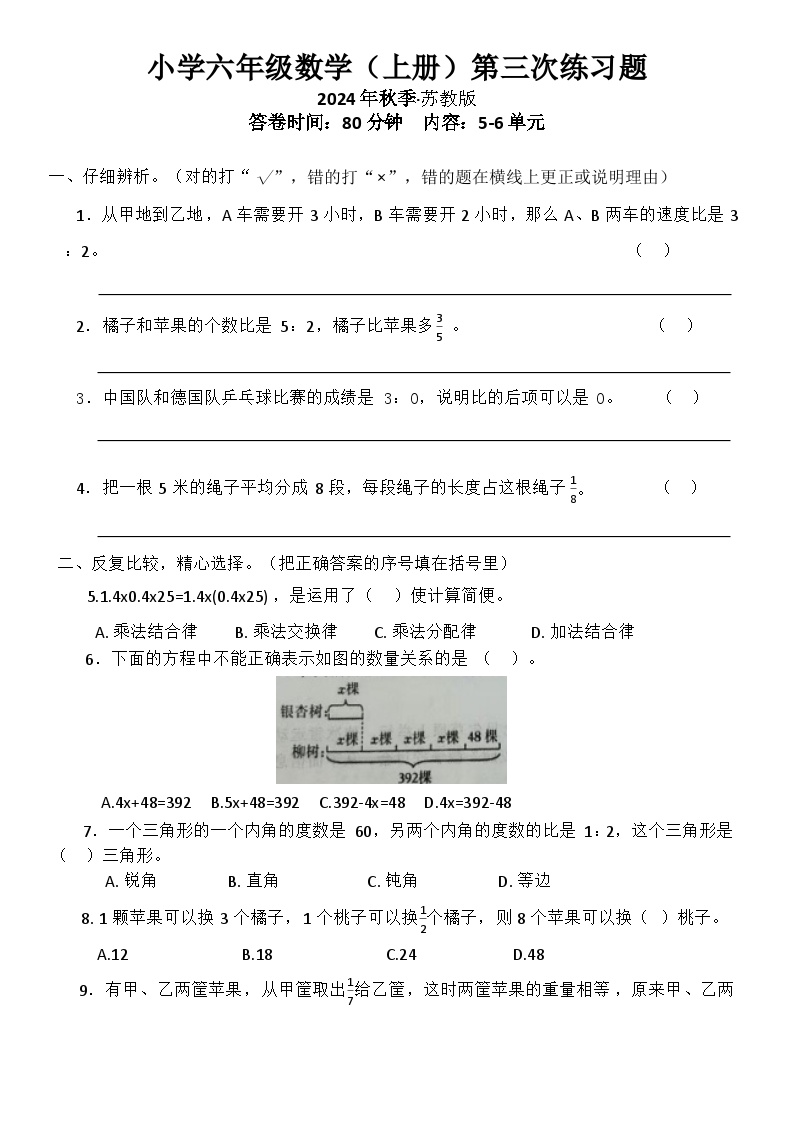 海南省定安县南海学校2024-2025学年六年级上学期5-6单元月考数学试卷