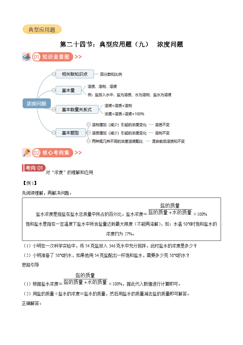 2025年小升初复习(全国通用)：知识点24浓度问题(原卷版+解析)