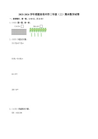 2023-2024学年福建省泉州市三年级（上）期末数学试卷