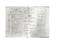 山东省济宁市金乡县2024-2025学年四年级上学期期末数学试卷