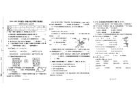 河北省承德市双桥区2024-2025学年六年级上学期期末数学试题