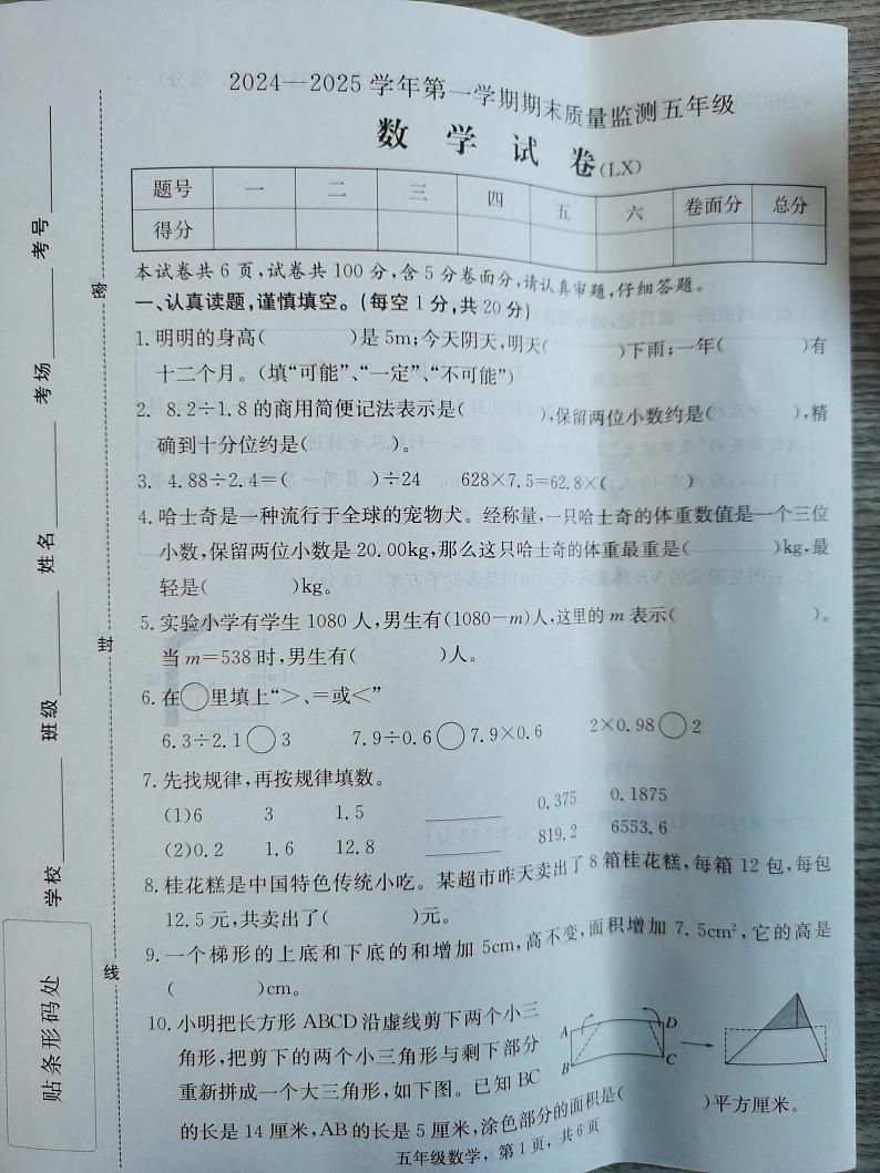 河北省保定市蠡县2024-2025学年五年级上学期期末数学试题第1页