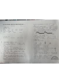 江苏省无锡市江阴市2024-2025学年四年级上学期期末数学试卷