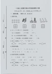 山东省济宁市微山县2024-2025学年一年级上学期期末考试数学试题