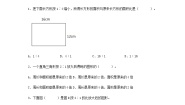 小学人教版（2024）图形的放大与缩小课时作业