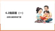 小学数学北师大版（2024）四年级下册栽蒜苗（一）评优课教学课件ppt