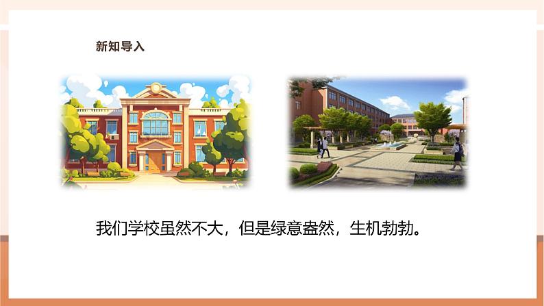 《校园绿地面积》课件第4页