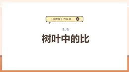 【大单元核心素养】苏教版数学六上3.9《树叶中的比》（课件+教案+大单元整体教学设计）