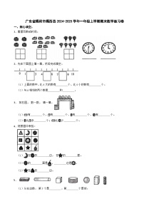 广东省揭阳市揭西县2024-2025学年一年级上学期期末数学练习卷