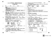 安徽省亳州市涡阳县2024-2025学年六年级上学期期末数学试题