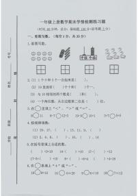 山东省济宁市微山县2024-2025学年一年级上学期期末考试数学试题