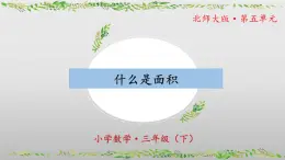 北师大版数学三年级下册 5.1《什么是面积》课件PPT