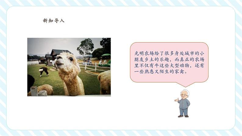 北师大版一年级下册1.4《开心农场》(课件)第5页