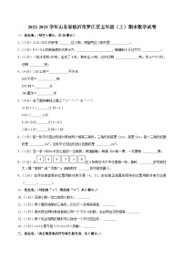 2022-2023学年山东省临沂市罗庄区五年级（上）期末数学试卷