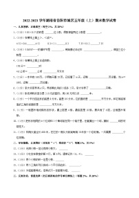 2022-2023学年湖南省岳阳市城区五年级（上）期末数学试卷