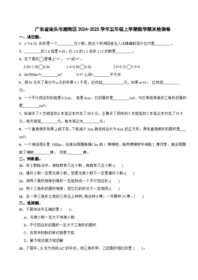 广东省汕头市潮南区2024-2025学年五年级上学期数学期末检测卷第1页