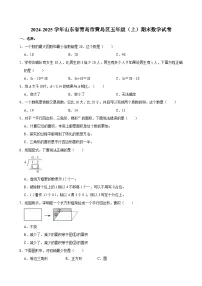 2024-2025学年山东省青岛市黄岛区五年级(上)期末数学试卷