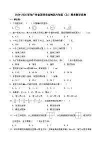 2024-2025学年广东省深圳市龙岗区六年级(上)期末数学试卷