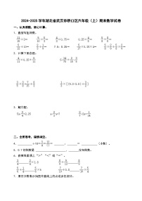 2024-2025学年湖北省武汉市硚口区六年级（上）期末数学试卷