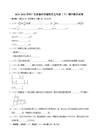 2023-2024学年广东省惠州市惠阳区五年级（下）期中数学试卷