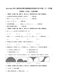 2024-2025学年上海市华东师大附属普陀区进华中学六年级（下）月考数学试卷（3月份）（五四学制） （含解析）