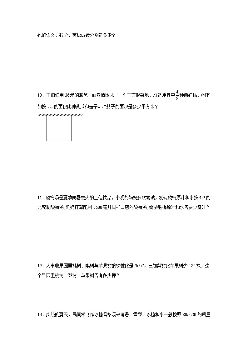 小升初应用题专项训练:比的运用-2024-2025学年数学六年级下册苏教版第3页