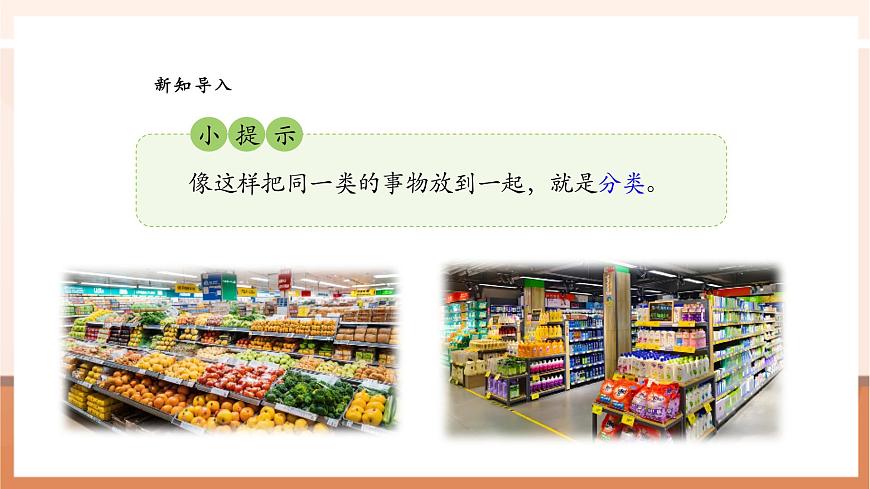 蘇教版新版一下3.1《按標準進行分類》（課件）第4頁