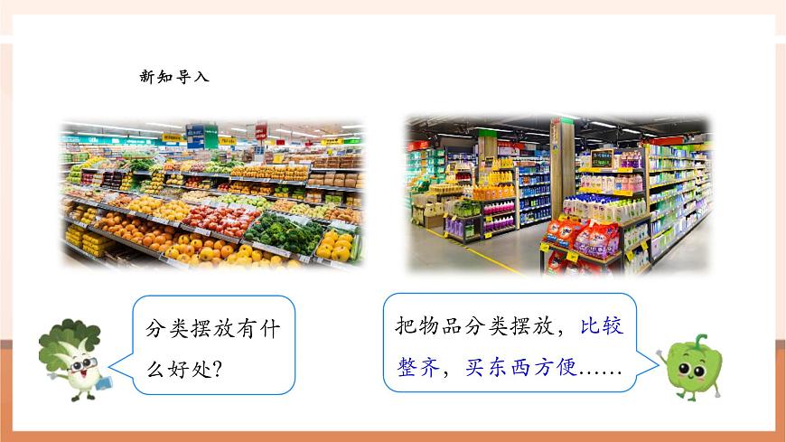 蘇教版新版一下3.1《按標準進行分類》（課件）第5頁