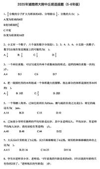 2025年湖南师范大学附属中学丘成桐少年班小学竞赛选拔考试数学试题(5~6年级)