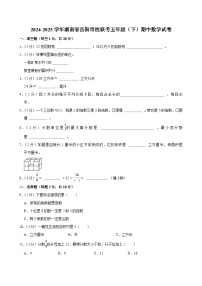2024-2025学年湖南省岳阳市校联考五年级（下）期中数学试卷