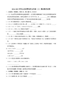 2024-2025学年山东省青岛市五年级（上）期末数学试卷