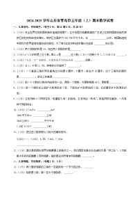2024-2025学年山东省青岛市五年级（上）期末数学试卷