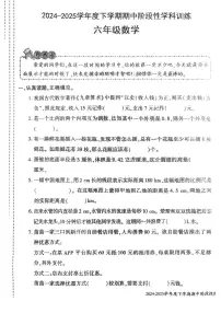 陕西省渭南市蒲城县2024-2025学年第二学期期中测试六年级数学试卷