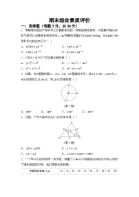 2024-2025学年鲁教版（五四制）（2024）数学六年级下册 期末试卷（含答案）