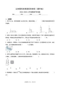 立体图形的表面积和体积（提升练）-2024-2025小升初数学专项练