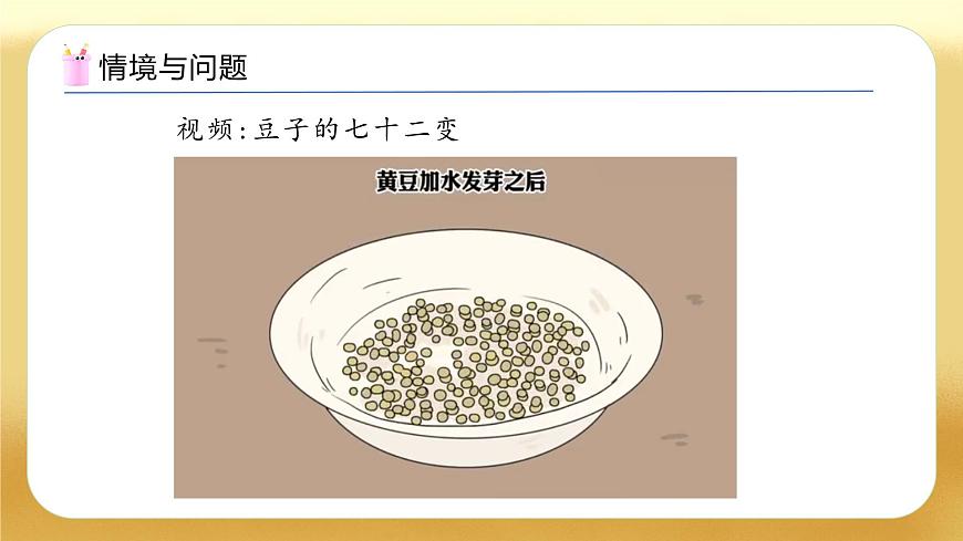 【备课无忧】北师大版數學一年级下册-4.3 數豆子（教学課件）第4页