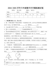 2025年数学小升初模拟试卷（重点题、常考题、提分题整合汇编）（通用版）
