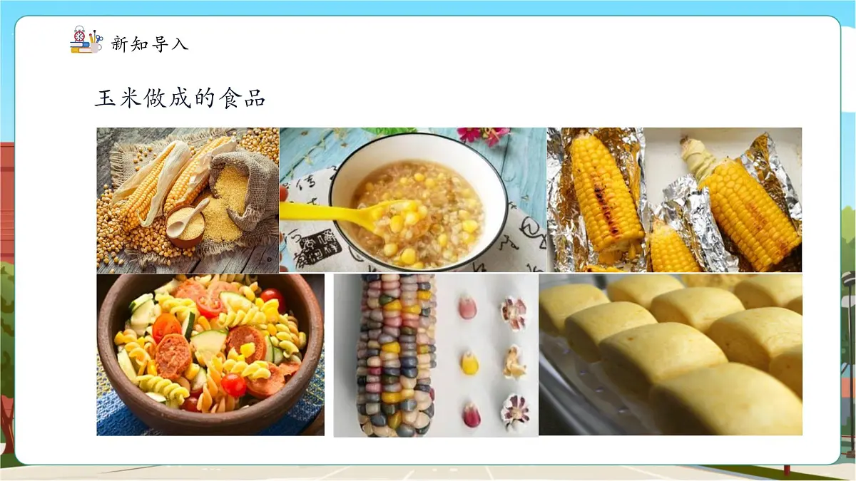 第5课时估算玉米收入第5页