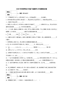 永州市2025年华阳学校六年级下册数学小升初模拟试卷(六)附解析