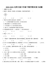 期末复习(试题)-2024-2025学年北师大版六年级下册数学