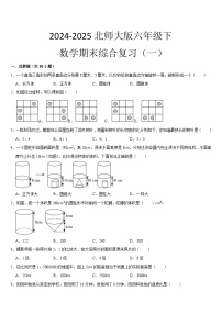期末综合复习（试题）-2024-2025学年六年级下册数学北师大版