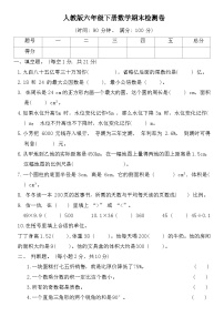 期末检测卷（试题）-2024-2025学年六年级下册数学人教版
