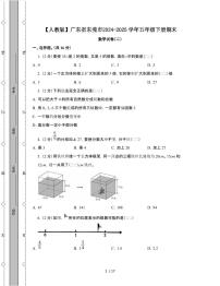 [人教版]广东东莞2024-2025学年五年级第二学期期末数学试题[二]附解析