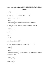 2023-2024年山东省青岛市六年级上册期中数学试卷及答案(青岛版)