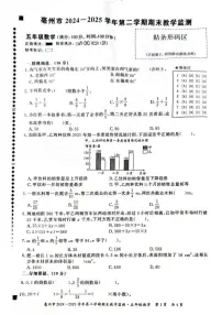 安徽省亳州市2024-2025学年下学期五年级数学期末试题(无答案)