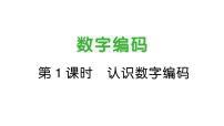 人教版（2024）三年級上冊（2024）☆ 數(shù)字編碼認(rèn)識數(shù)字編碼作業(yè)課件ppt