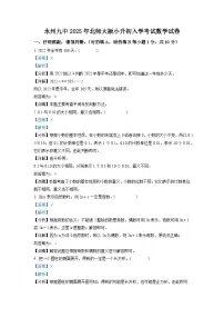 永州九中2025年北师大版小升初入学考试数学试卷（五）（解析版）