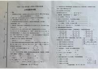 山东省淄博市张店区2024-2025学年第二学期三年级数学期末试卷（青岛版五四制，无答案）
