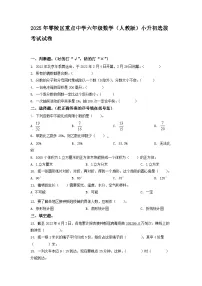 2025年零陵区重点中学六年级数学（人教版）小升初选拔考试试卷（四）（原卷版）